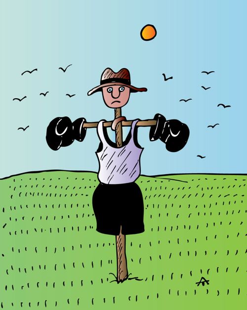 Boxer Scarecrow Fends of the Crows.
