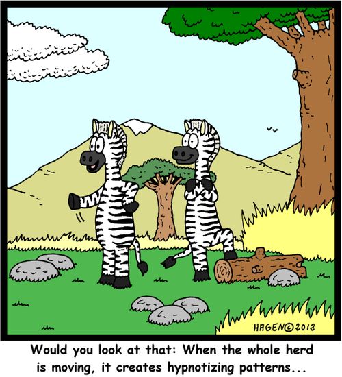 'Would you look at that: When the whole herd is moving, it creates hypnotizing patterns...'