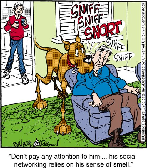 'Don't pay any attention to him . . . his social networking relies on his sense of smell.'