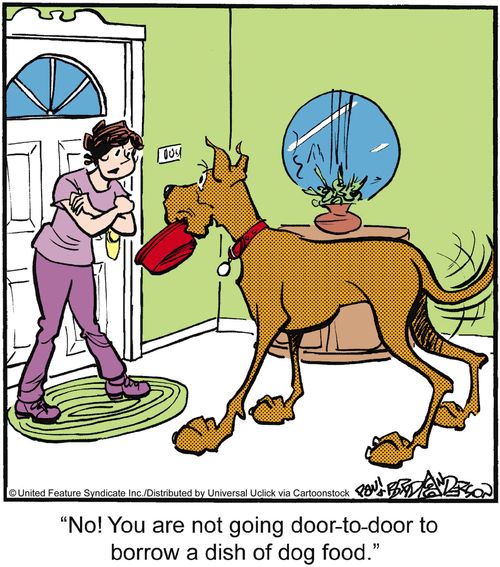 'No! You are not going door-to-door to borrow a dish of dog food.'