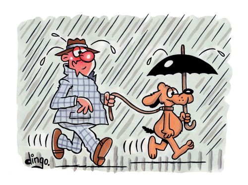 Dog holding umbrella in the rain, with owner getting wet.   