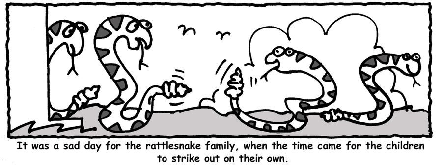 'It was a sad day for the rattlesnake family when the time came for the children to strike out on their own.'
