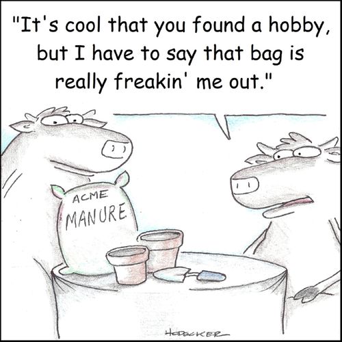 'It's cool that you found a hobby, but I have to say that bag is really freaking' me out.'