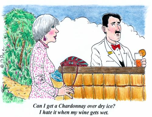 'Can I get a Chardonnay over dry ice? I hate it when my wine gets wet.'