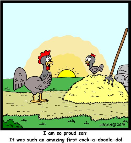'I am so proud son: It was such an amazing first coak-a-doodle-do!'