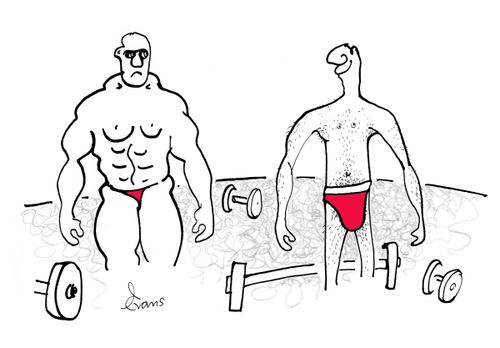 Important Muscles.