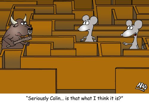 'Seriously Colin... is that what I think it is?'