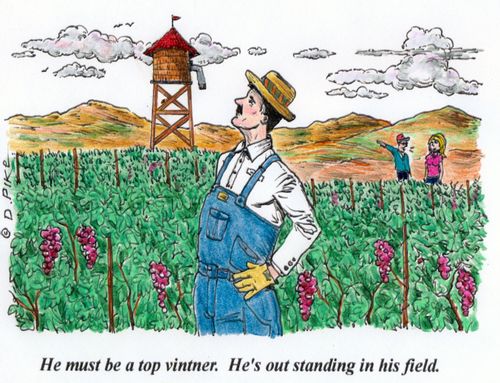 'He must be a top vintner. He's out standing in his field.'