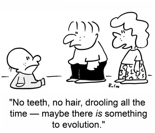 'No teeth, no hair, drooling all the time -- maybe there is something to evolution.'