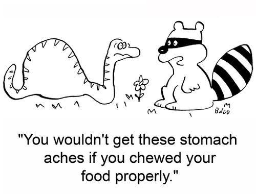 'You wouldn't get these stomach aches if you chewed your food properly.'