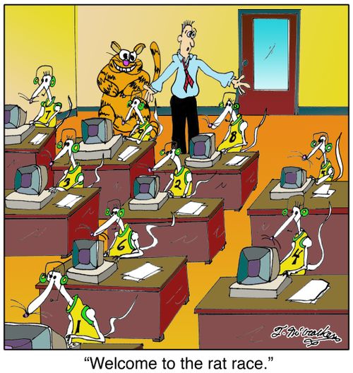 'Welcome to the rat race.'