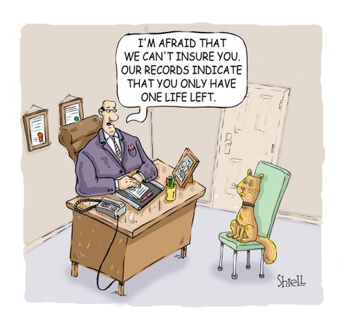 'I'm afraid that we can't insure you. Our records indicate that you only have one life left' Colour