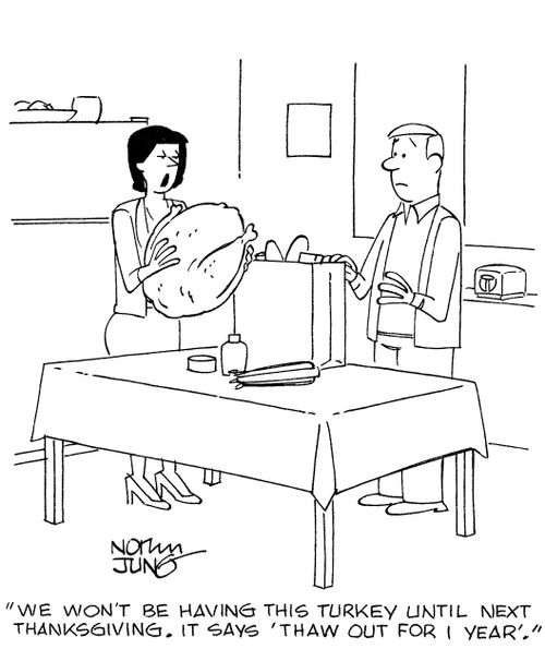 'We won't be having this turkey until next Thanksgiving. It says 'thaw out for 1 year'.'
