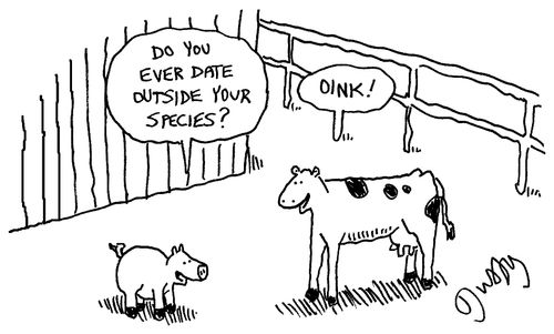 'Do you ever date outside your species?' 'Oink!'