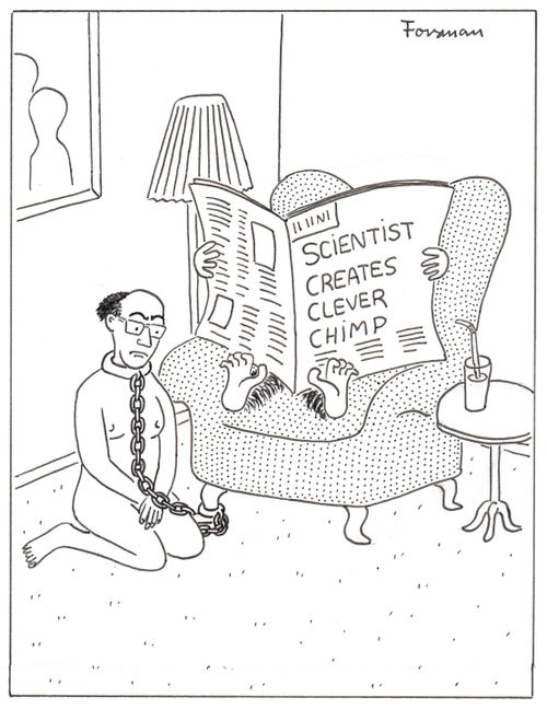 Paper says: 'Scientist creates clever chimp'.