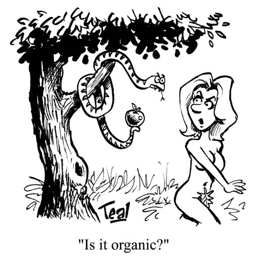'Is it organic?'