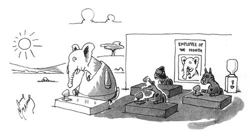 Elephant keeping his fellow workers in the shade.