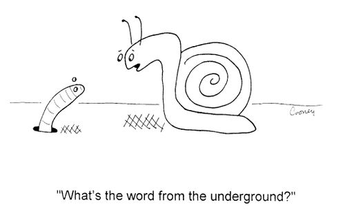 "What's the word from the underground?"