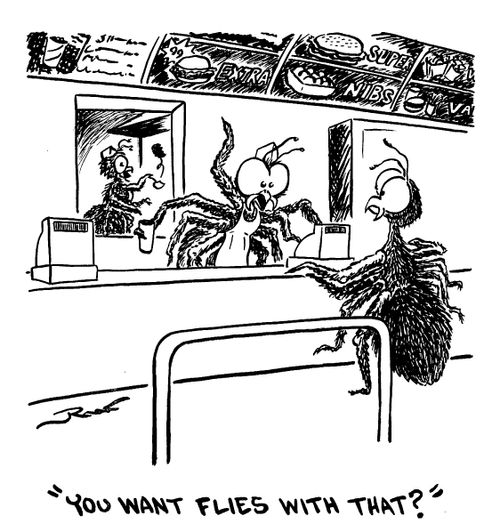 "You want flies with that?"
