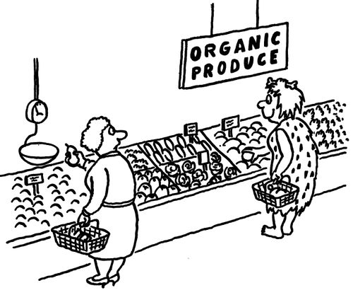 Shopping for Organic Food