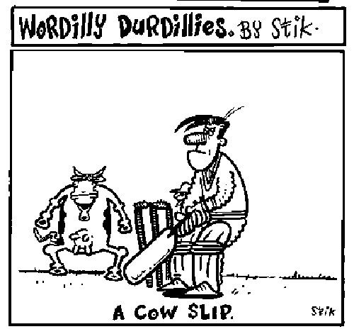 Wordilly Durdillies - A cow slip