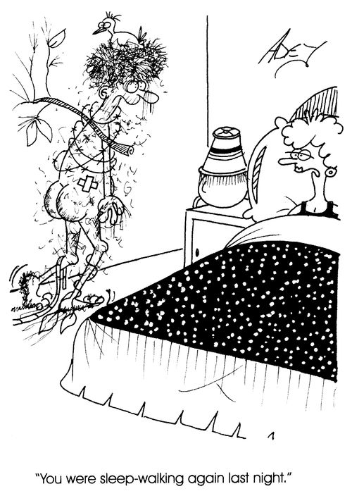 "You were sleep-walking again last night."