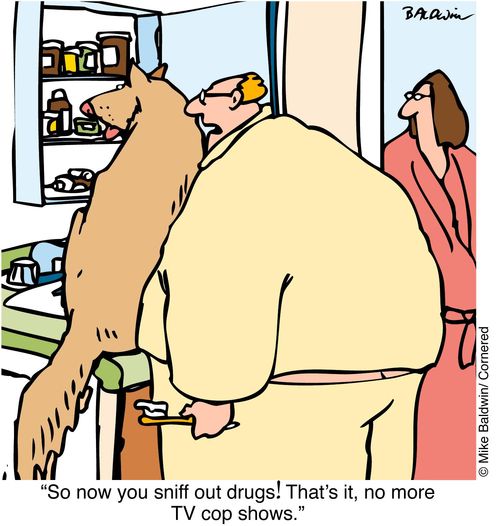 "So now you sniff out drugs! That�s it, no more TV cop show"