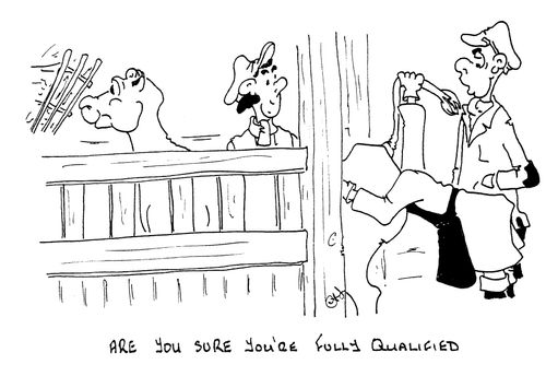 "Are you sure you're fully qualified"
