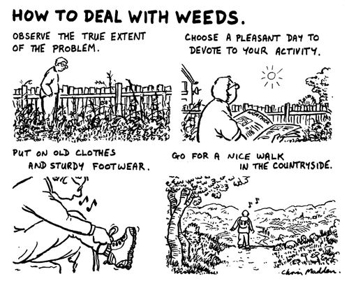 "How to deal with weeds."