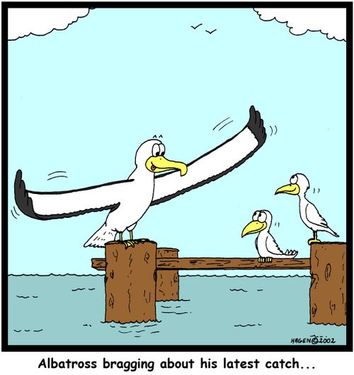 Albatross bragging about his latest catch...