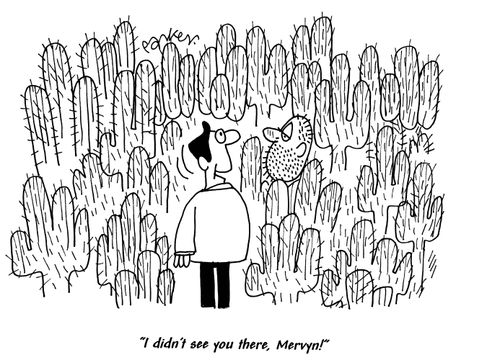 'I didn't see you there, Mervyn!'