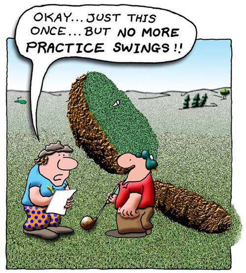 "Okay...just this once...but no more practice swings!"