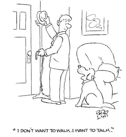 'I don't want to walk. I want to talk.'