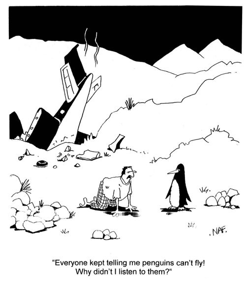 'Everyone kept telling me penguins can't fly!  Why didn't I listen to them?'