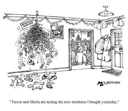 'Trevor and Sheila are testing the new mistletoe I bought yesterday.'