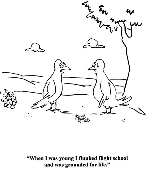 Bird to bird: 'When I was young I flunked flight school and was grounded for life.'