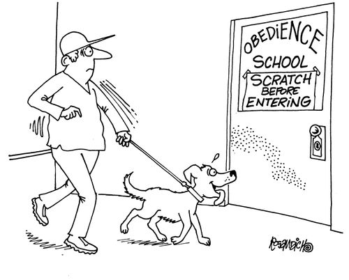 Obedience School - Scratch Before Entering.