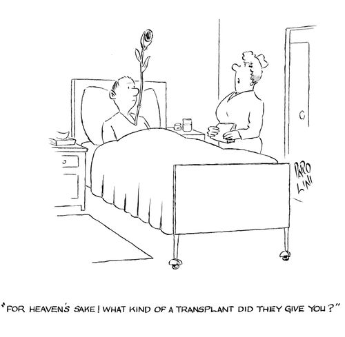 'For heaven's sake! What kind of a transplant did they give you?'