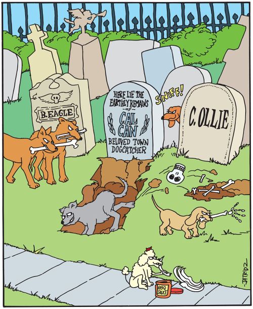 Here lie the earthly remains of Cal Can, beloved town dogcatcher.