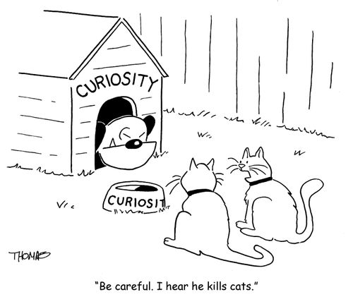 'Be careful, I hear he kills cats.'