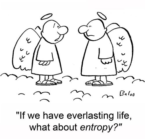 'If we have everlasting life, what about entropy?'
