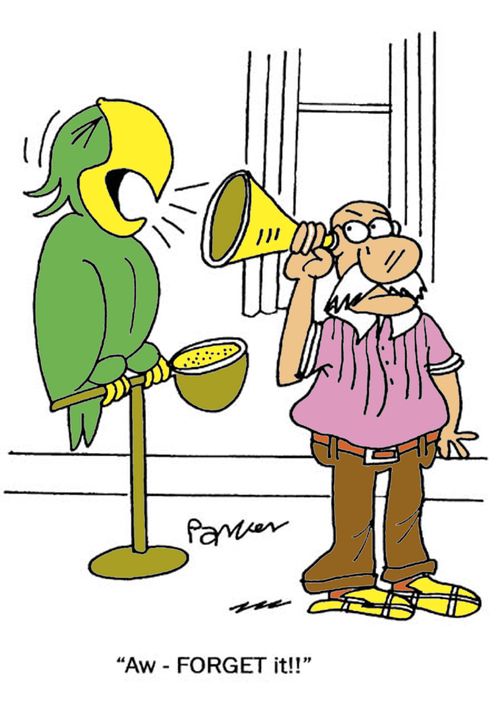 'Aw-FORGET it!'