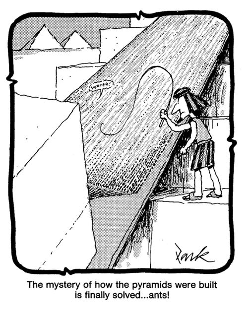 They mystery of how the pyramids were built is finally solved - ants!