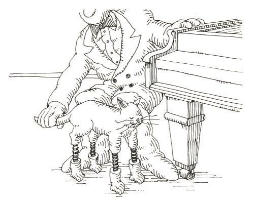 101 uses of a dead cat: adjustable stool.