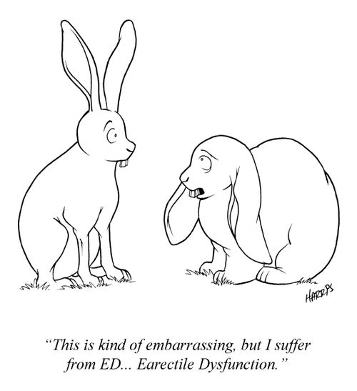 'This is kind of embarrassing, but I suffer from ED... Earectile Dysfunction.'