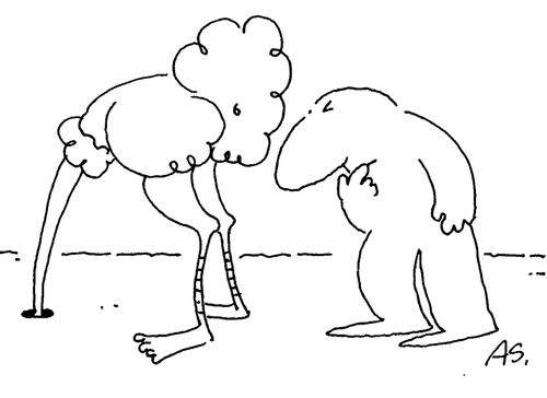Ostrich Curoisities