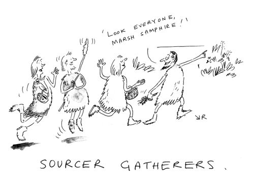 Sourcer Gatherers.