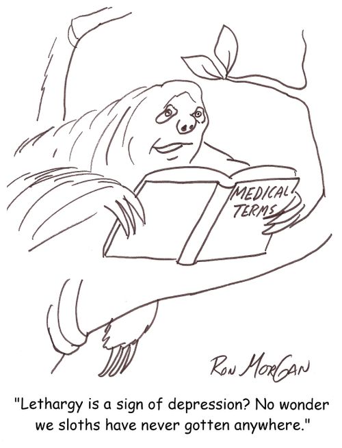 'Lethargy is a sign of depression? No wonder we sloths have never gotten anywhere.'