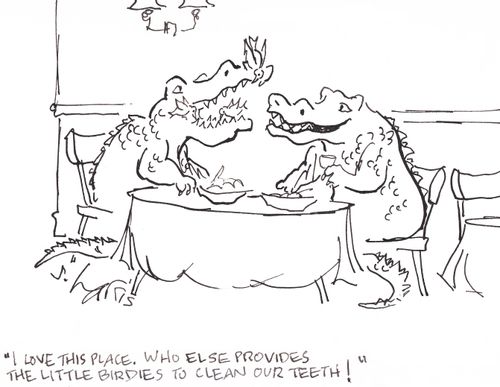 'I love this place.  Who else provides the little birdies to clean our teeth!'