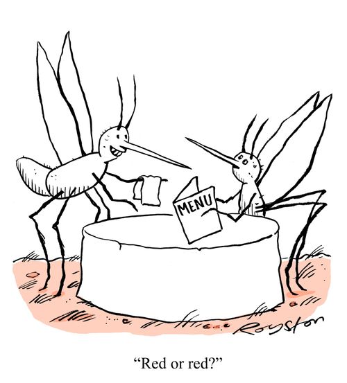 Mosquito 'restaurant' on a person's skin. Waiter asks 'Red or red?'